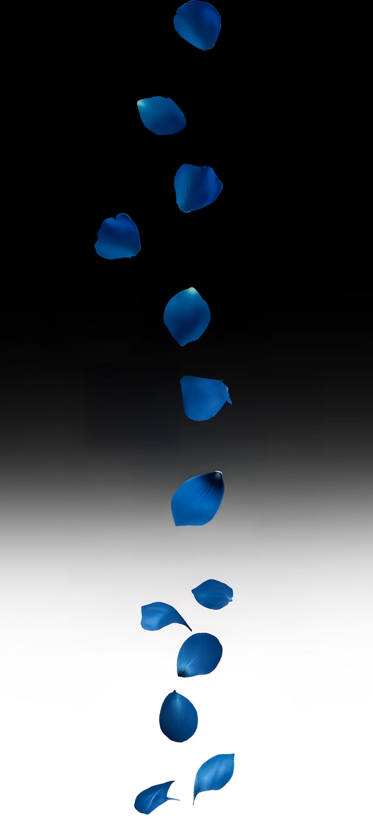 Dismissed [Rose Blue 3D] Chapter 1 - Page 17