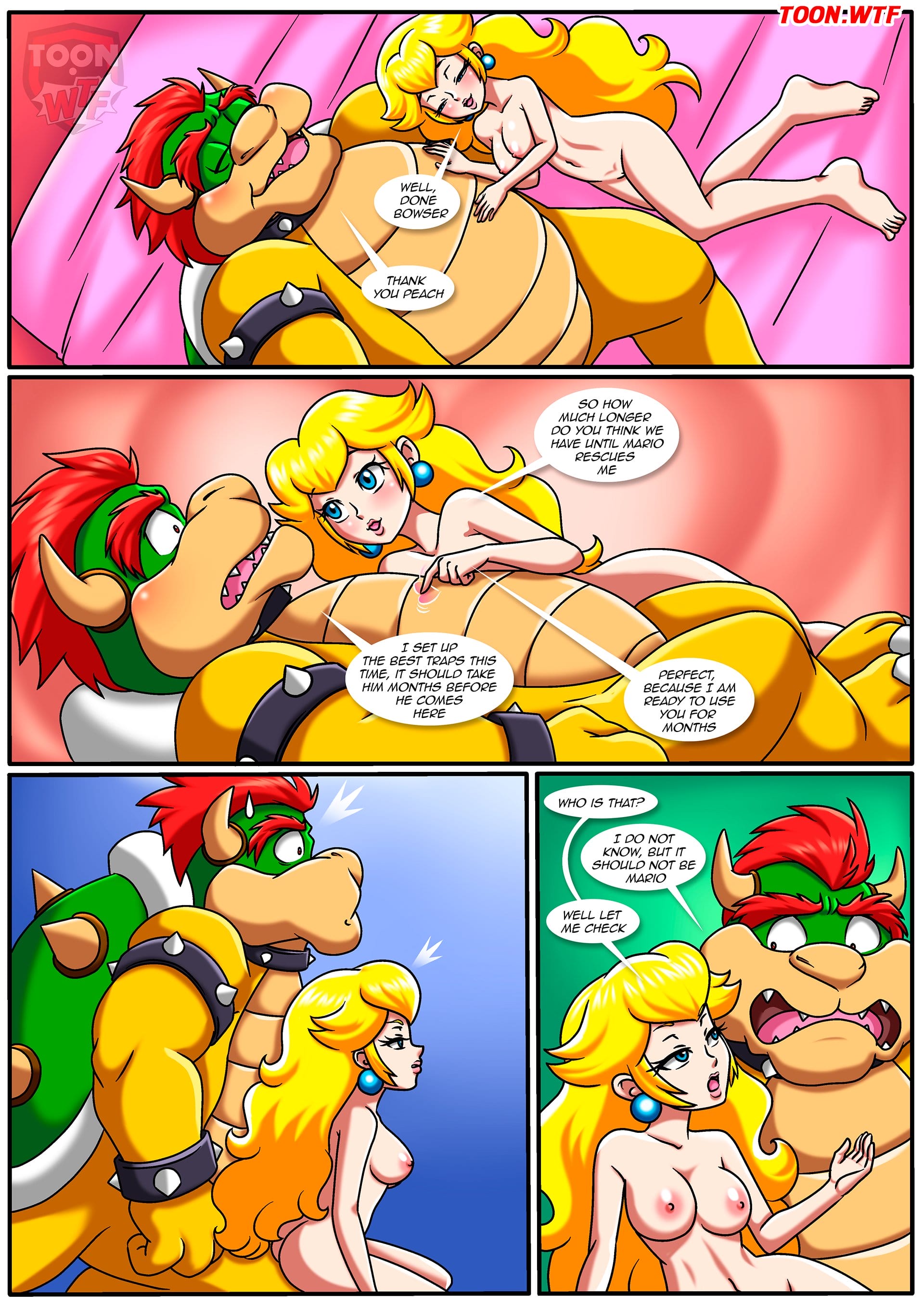 The Mushroom Kingdom Secret (Mario Series) [PalComix] Chapter 1 - Page 15