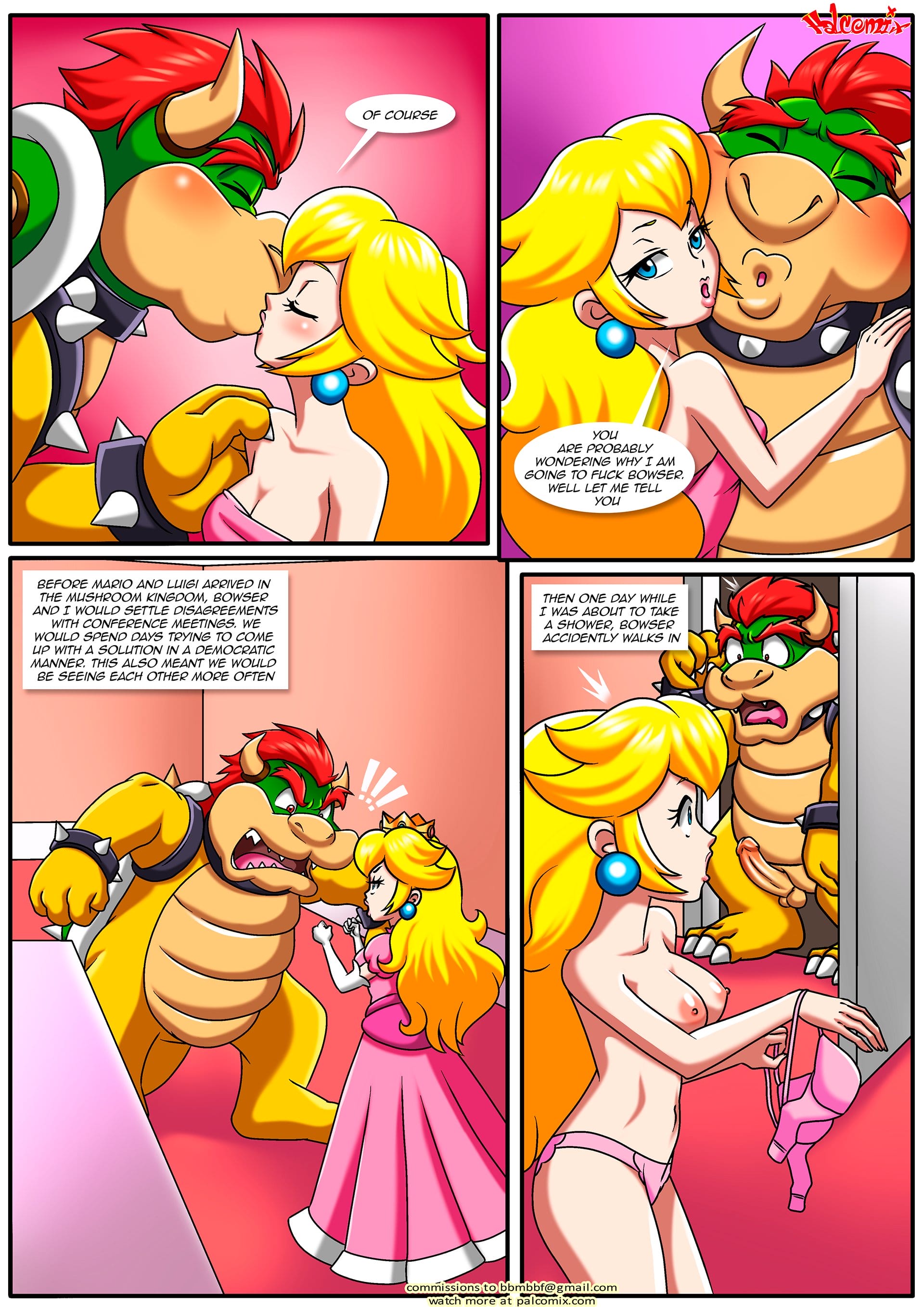 The Mushroom Kingdom Secret (Mario Series) [PalComix] Chapter 1 - Page 5