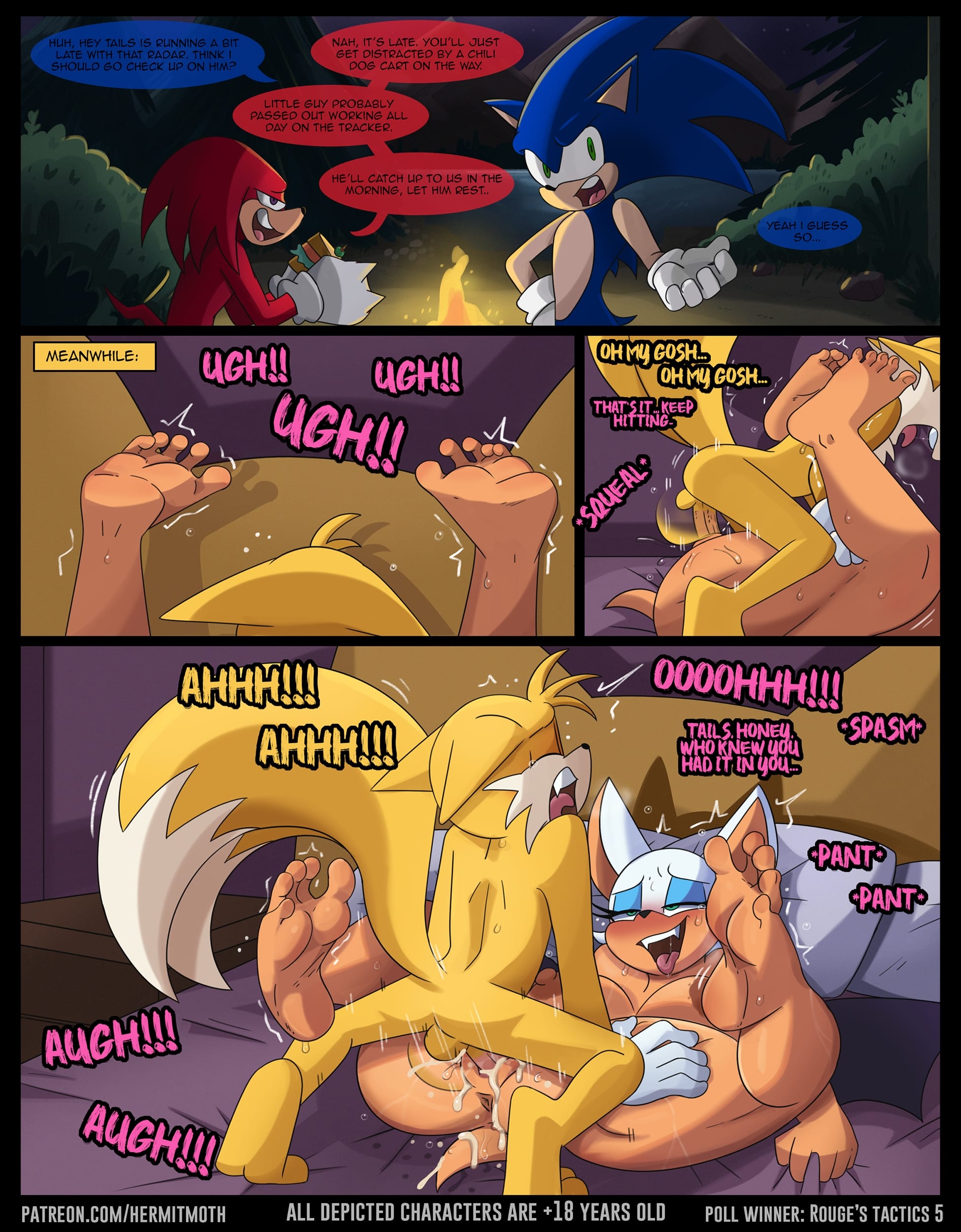 Rouge’s Tactics (Sonic the Hedgehog) [Hermit Moth] Chapter 1 - Page 5